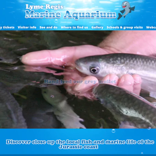 Lyme Regis Marine Aquarium